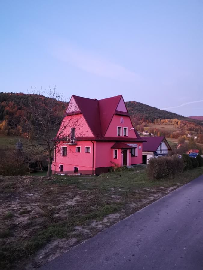 Фермерские дома Malinowy Domek Młyńczyska-11
