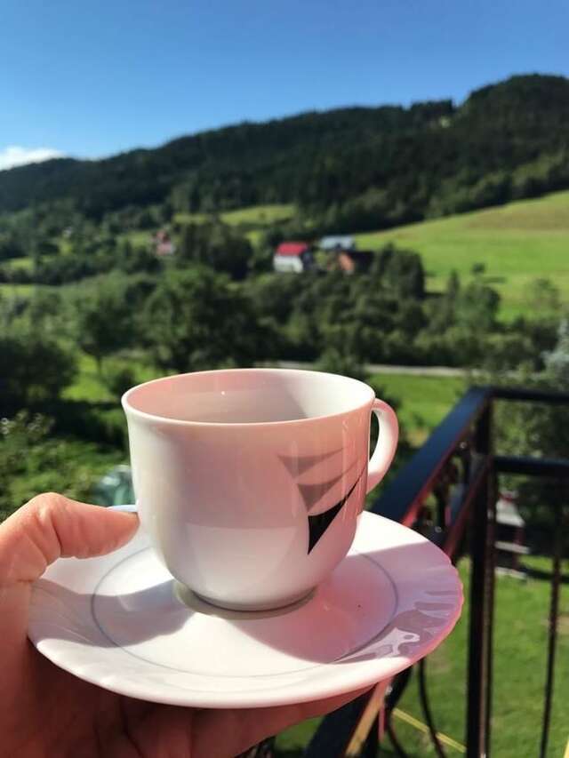 Фермерские дома Malinowy Domek Młyńczyska-32