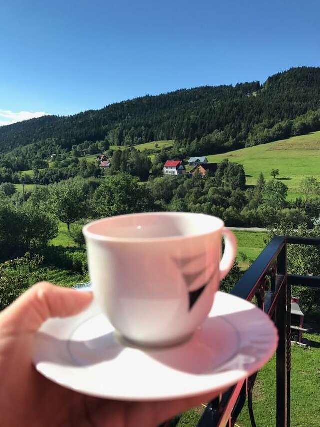 Фермерские дома Malinowy Domek Młyńczyska-33