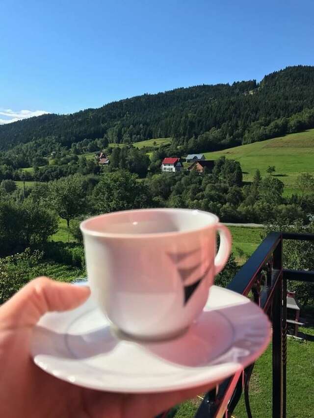 Фермерские дома Malinowy Domek Młyńczyska-39