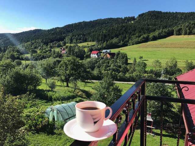 Фермерские дома Malinowy Domek Młyńczyska-40