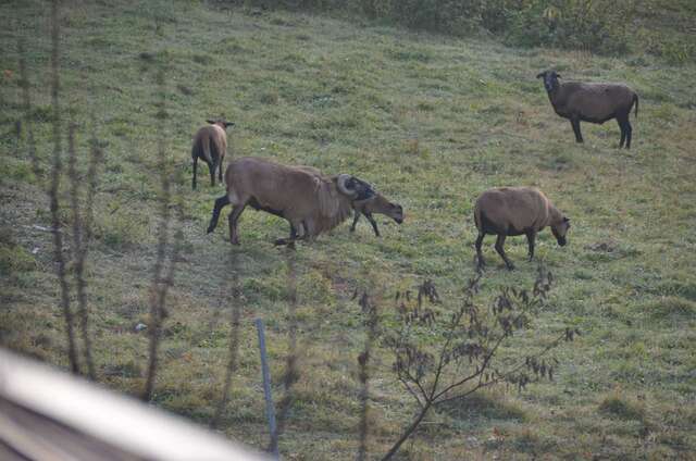 Фермерские дома Malinowy Domek Młyńczyska-11